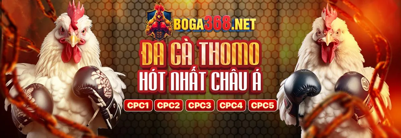 Hỗ trợ khách hàng Game Bài B52
