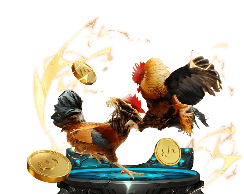 Cá cược bóng đá trên nền tảng B52